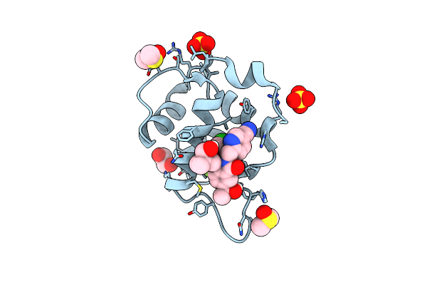 7BIV image