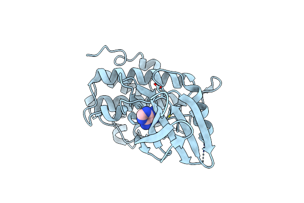 7BJE image