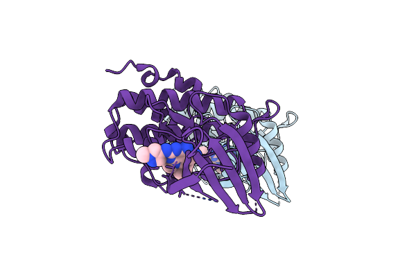 7BJX image