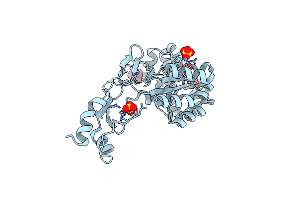 7BKF image