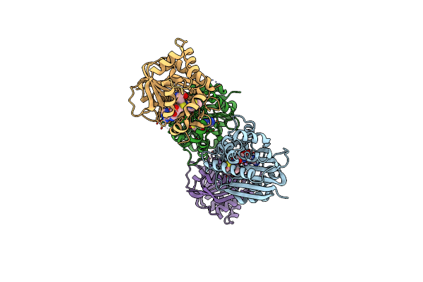 7BKG image