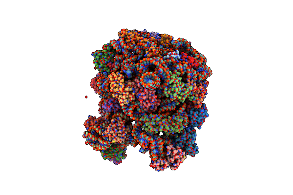 7BL2 image