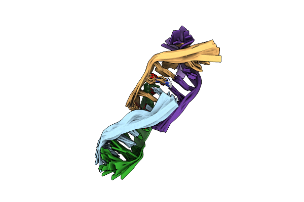 7BMA image