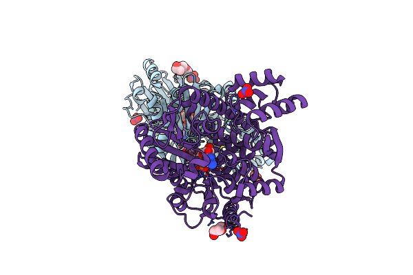 7BMF image