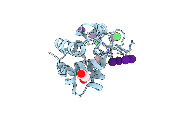 7BMP image