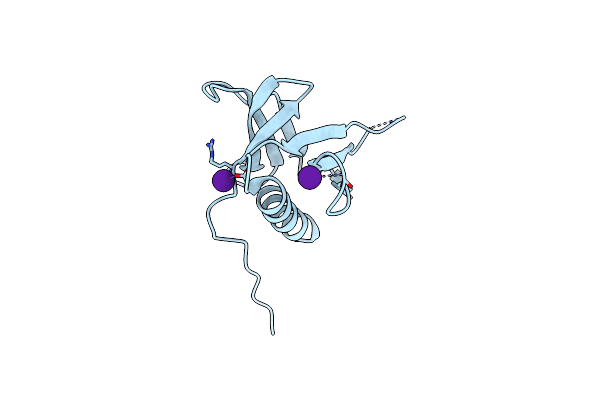 7BMV image