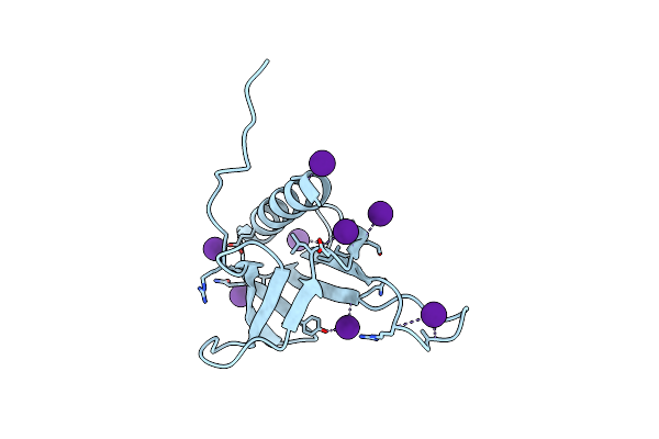 7BMX image