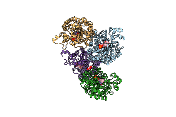 7BN7 image
