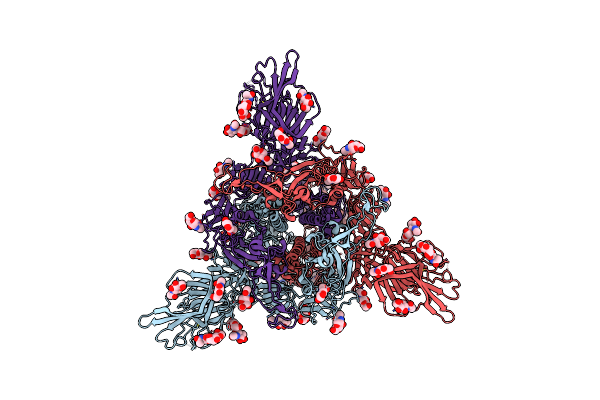 7BNM image