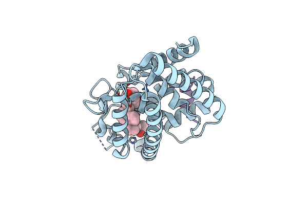 7BNS image