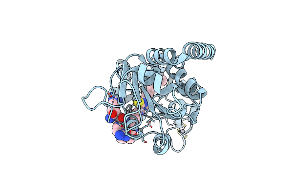 7BOS image