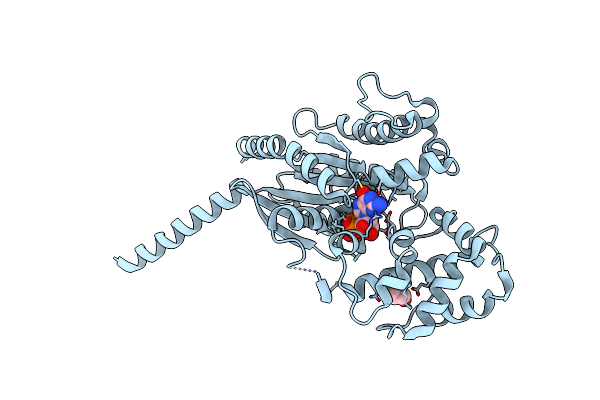 7BPH image