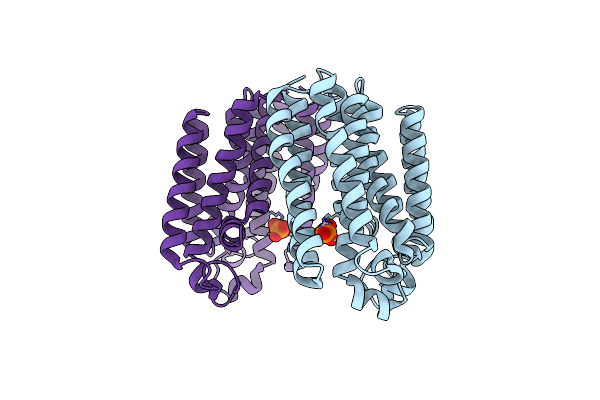 7BPU image