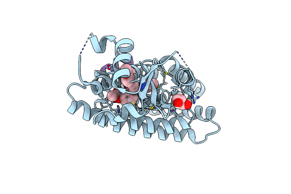 7BQ2 image