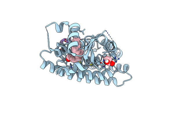 7BQ4 image
