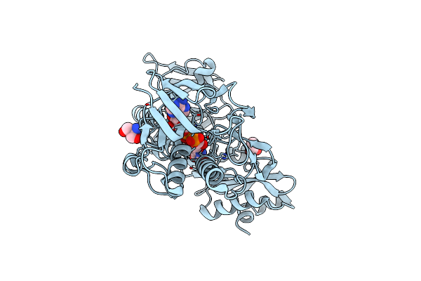 7BQ6 image