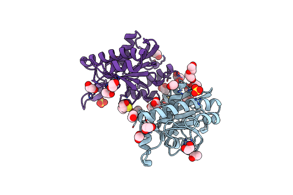 7BRD image