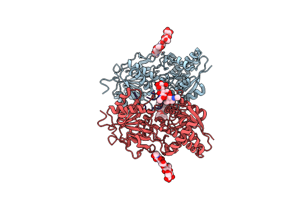 7BRL image