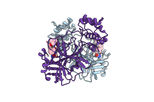 7BRP image