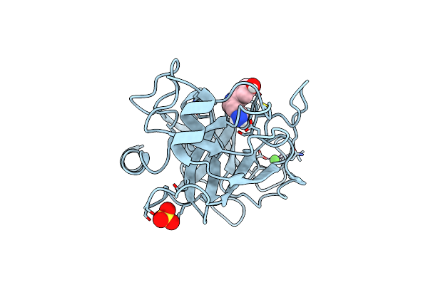7BS2 image