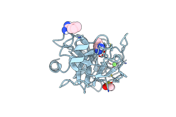 7BS8 image