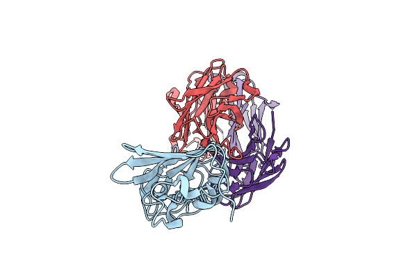 7BSC image
