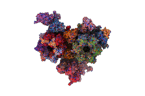 7BSI image