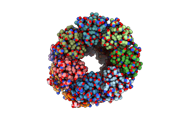 7BSN image