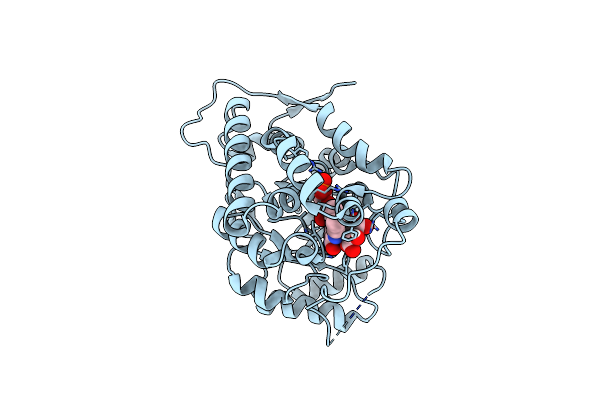 7BSR image