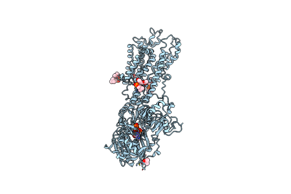 7BT2 image