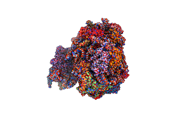 7BTB image