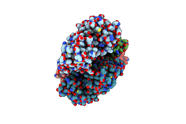 7BTI image