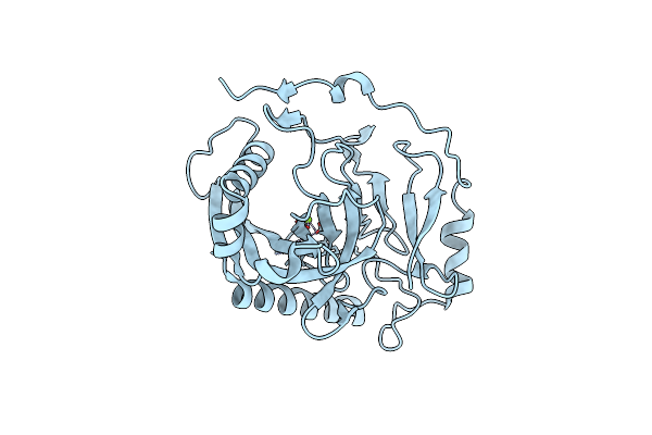 7BTN image