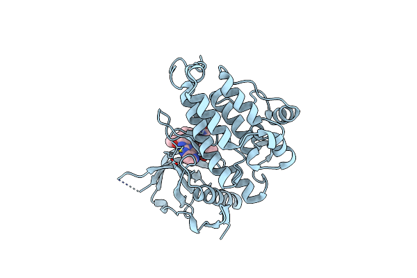 7BTT image