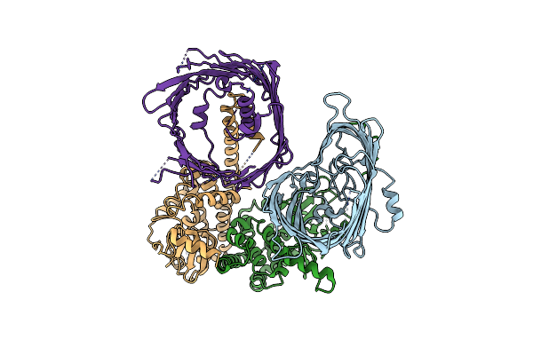 7BTX image