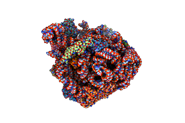 7BV8 image