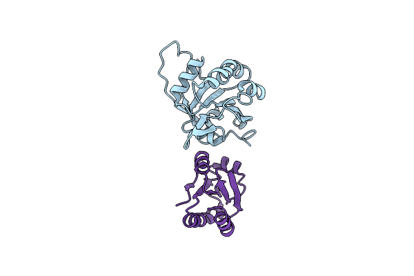 7BVV image