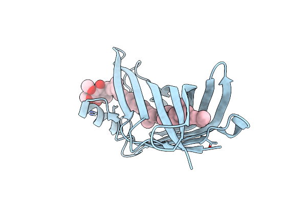 7BWL image