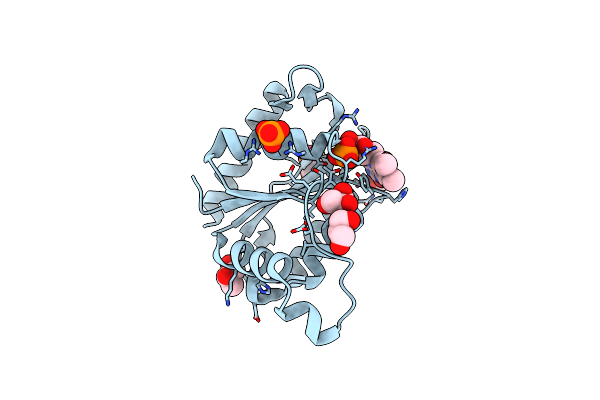 7BX9 image