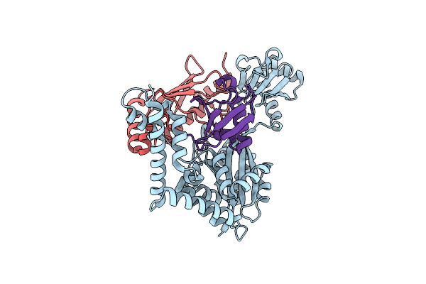 7BXG image