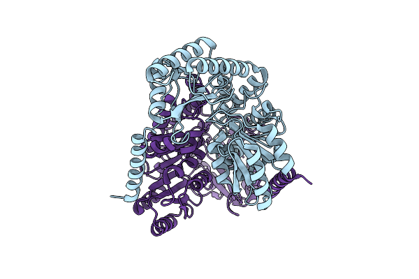 7BXP image