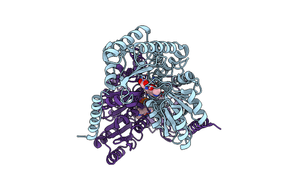 7BXS image