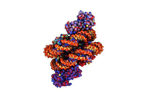 7BXT image
