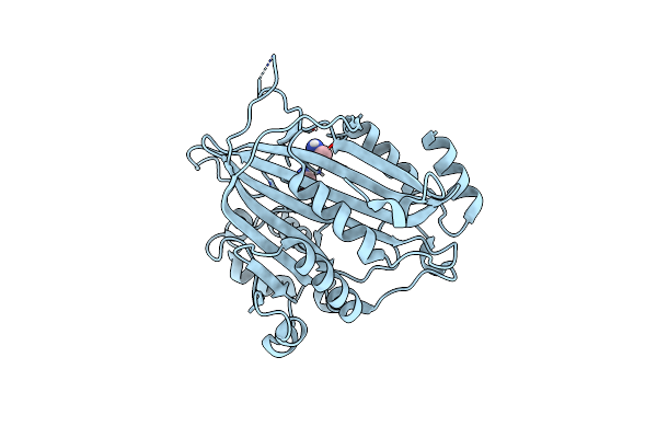 7BXW image