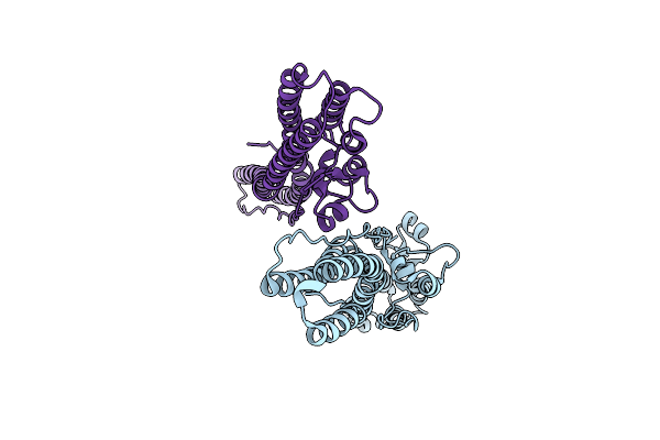 7BXX image