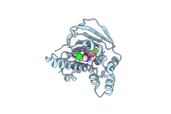 7C04 image
