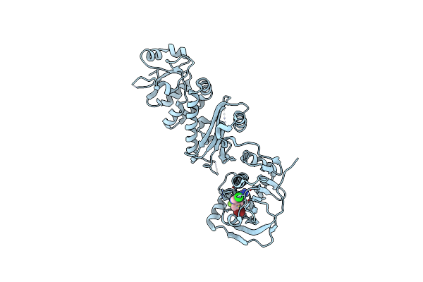 7C05 image