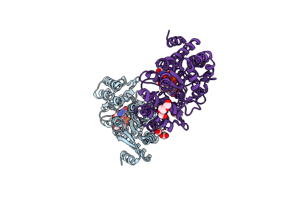 7C0S image