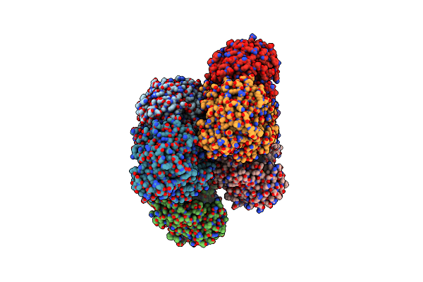 7C11 image