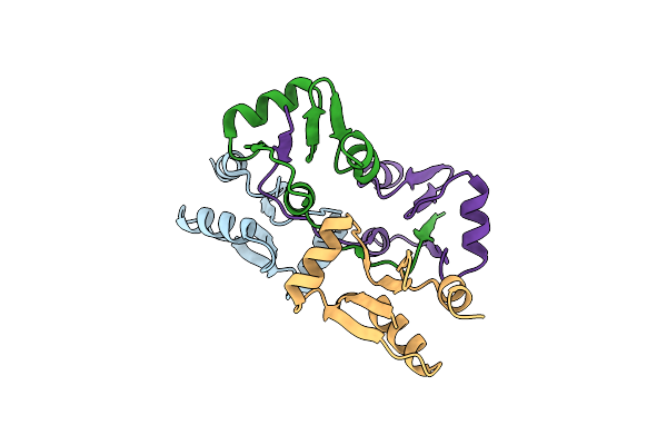 7C12 image